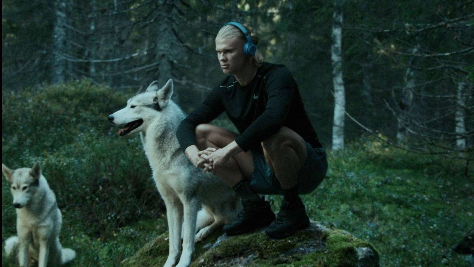 普京的表态 普京的表态